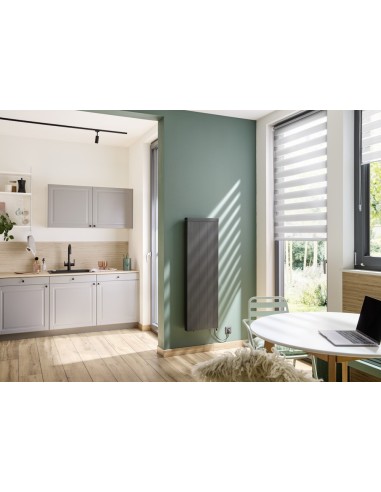 Radiateur inertie noir "FLAT" TECHNOTHERM
