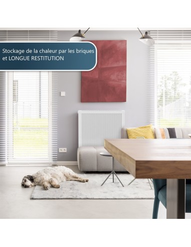 radiateur Technotherm