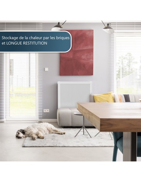 radiateur Technotherm