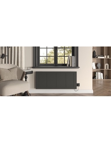 Radiateur à double cœur de chauffe TECHNOTHERM différentes dimensions et puissances