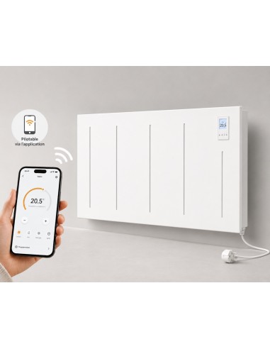 Radiateur à double cœur de chauffe TECHNOTHERM différentes dimensions et puissances